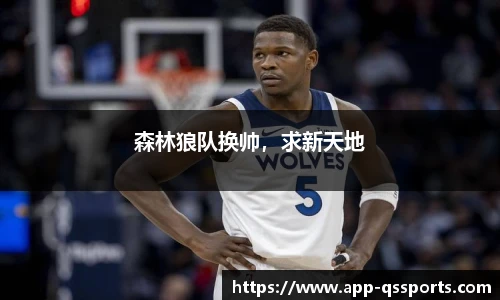 森林狼队换帅，求新天地