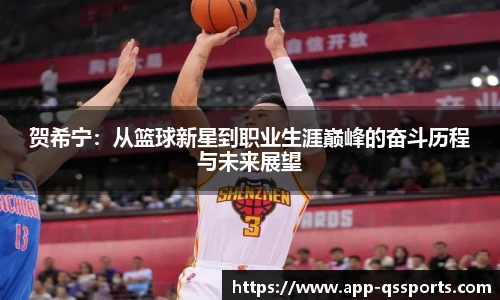 贺希宁：从篮球新星到职业生涯巅峰的奋斗历程与未来展望